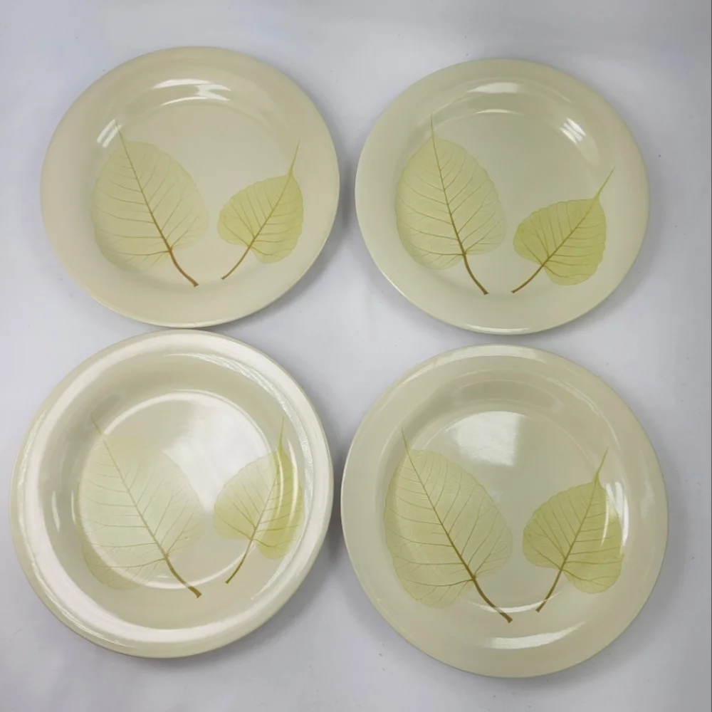 Pier 1 Aspen Stoneware Salad Dessert Plates Set of 4